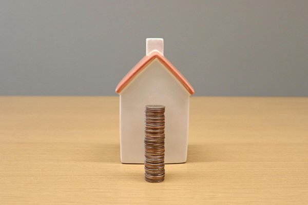 Tipps zur Gestaltung eines komfortablen und altersgerechten Schlafplatzes für Ihren Seniorhund